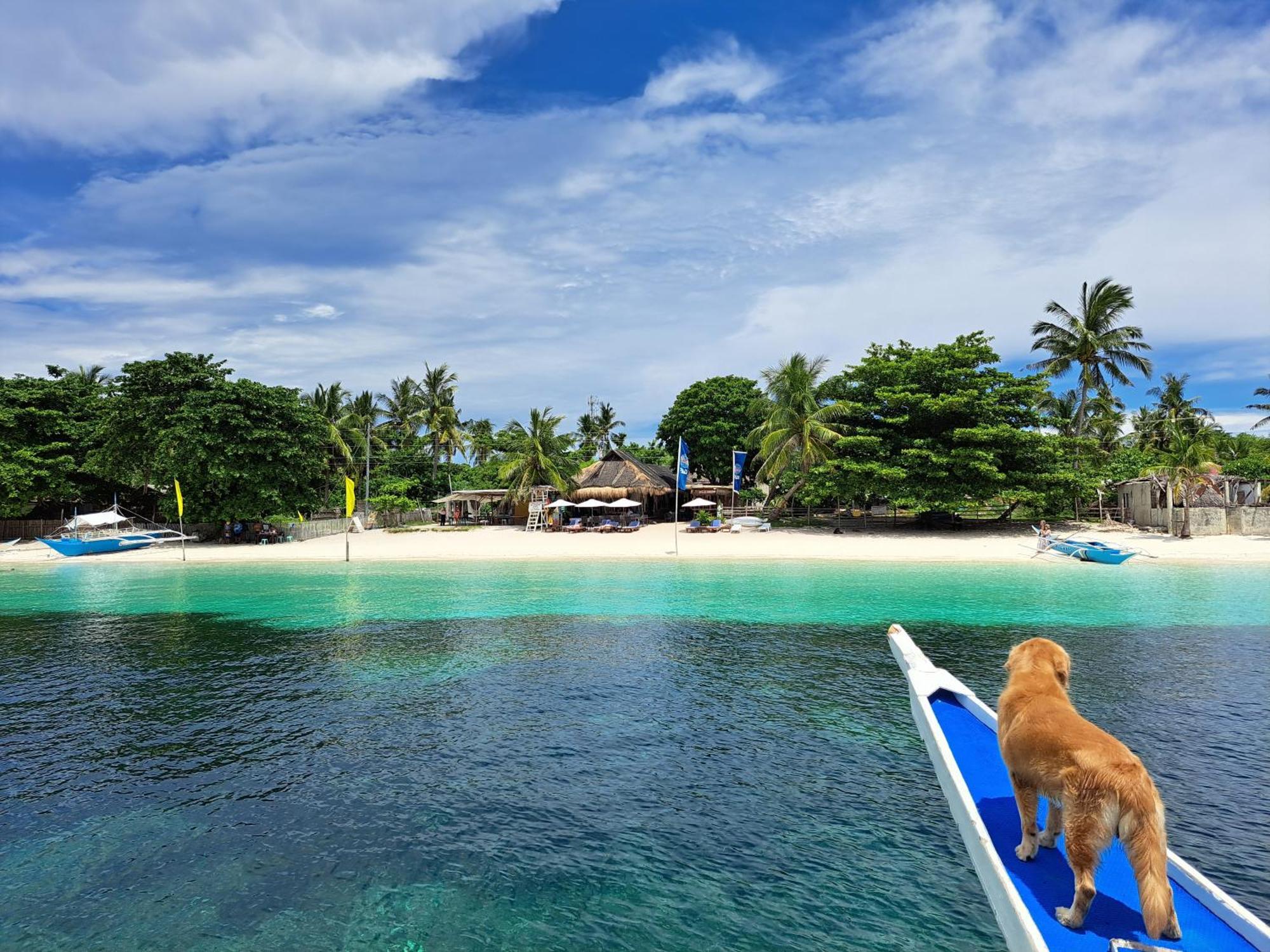 Avila'S Horizon Dive Resort Malapascua Exterior photo